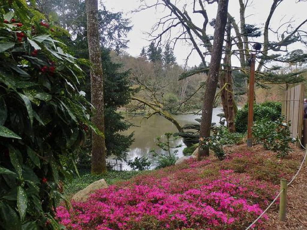 149 PARC ORIENTAL DE MAULEVIER MAINE ET LOIRE 2016 N1_000032.jpg